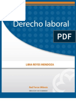 Derecho Laboral