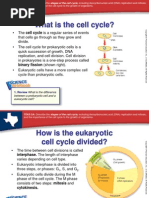 What Is The Cell Cycle?: Binary Fission (Shown Right)