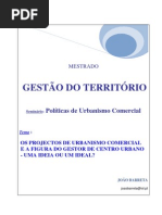 Os Projectos de Urbanismo Comercial e a Figura Do Gestor de Centros Urbano Ideia Ou Ideal