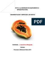 Deshidratacion de Papaya