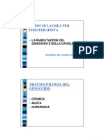 Fisioterapia - Riabilitazione Del Ginocchio E Della Caviglia