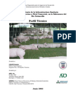 Perfil Porcino PDF