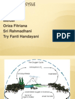 The Oxygen Cycle: Meidar Oriza Fitriana Sri Rahmadhani Try Fanti Handayani