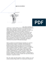 Difusão Tecnológica e Regime Macroeconômico