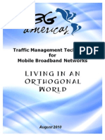 Traffic Management Techniques For Mobile Broadband Networks