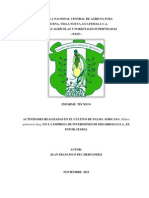 ACTIVIDADES REALIZADAS EN EL CULTIVO DE PALMA AFRICANA (Elaeis Guineensis Jacq.) EN LA EMPRESA DE INVERSIONES DE DESARROLLO S.A., EL ESTOR, IZABAL