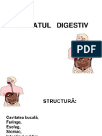 51213765-APARATUL-DIGESTIV