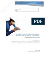 Inspeccion Visual