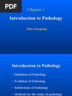 Download pathology-1 Introduction To Pathology by Durge Raj Ghalan SN12885274 doc pdf