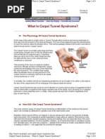Download Carpal Tunnel Syndrome by venks2k SN12885397 doc pdf