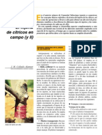 Injerto en Citricos PDF