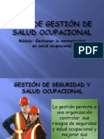 Plan de Gestion de Salud Ocupacional