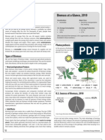 BiomassS PDF