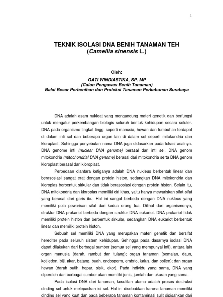 Laporan Praktikum Isolasi Dna Dengan Metode Kitchen