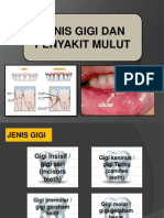 Jenis Gigi Dan Penyakit Mulut