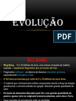 EVOLUÇÃO