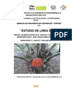 Diagnostico Del Grupo de Productores Palmicultores de e. Zapata y Balancan Del Municipio de Balancan Tabasco