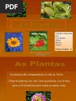 as-plantas-cn6d-120604071203-phpapp01