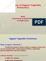 Organic Vegetable