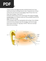 Download Pengertian telinga by andi nova SN128928080 doc pdf