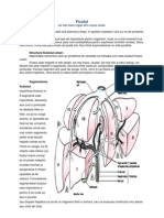 Structura Ficatului