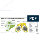 Pitahaya-fruta ECMFIL20120218 0001