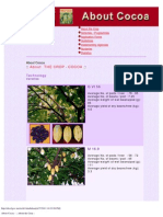 About Cocoa - _ About the Crop 2_.pdf