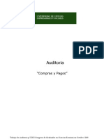 Trabajo Auditoria Cobros y Pagos c Villaverde y a Verdinelli