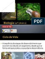 BG 19 - Ciclos de Vida