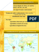 Laagriculturadesubsistencia3deeso 101123134301 Phpapp01