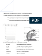 Ficha de Avaliação CN5 - Células e Classificação PDF