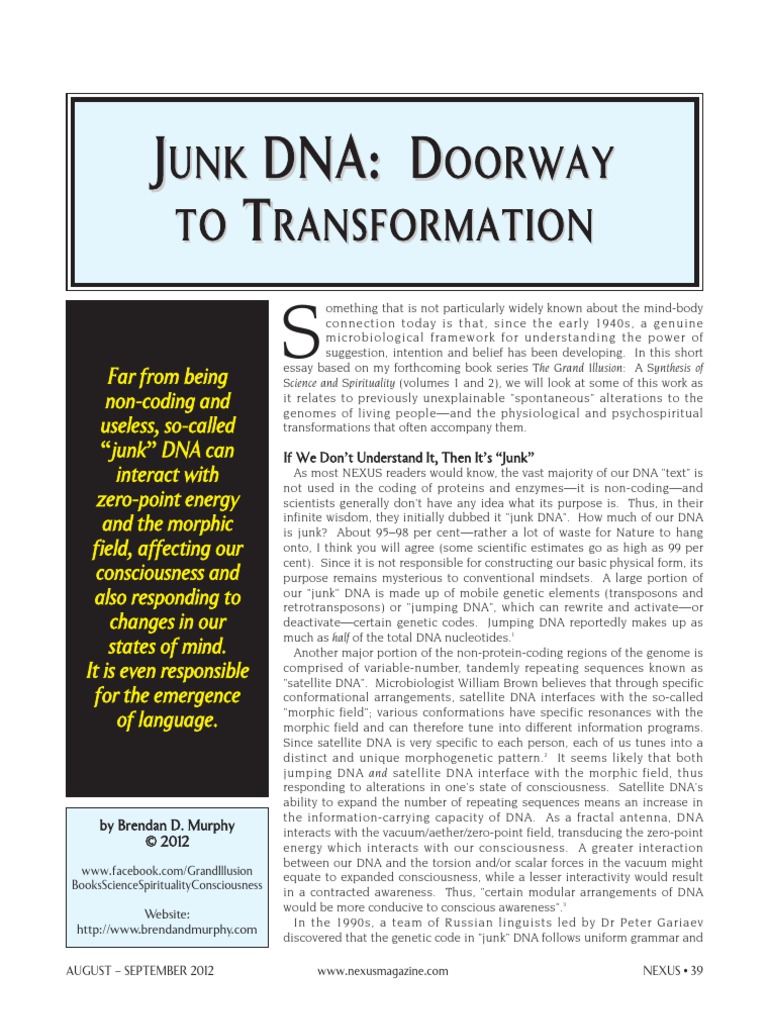 The Untold Story Of Junk Dna And How It Affects Your Health - he06hea