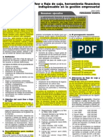 Cash Flow y Flujo Efectivo Financiero 07