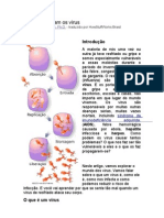 Como funcionam os vírus