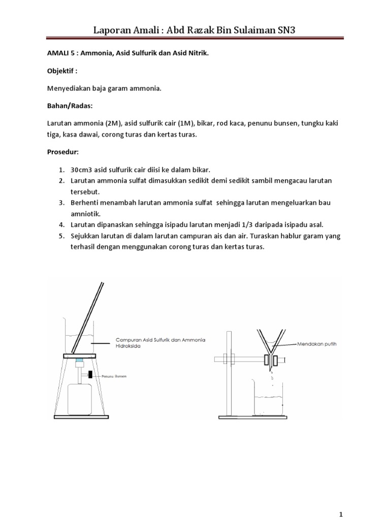 Amali 5 Ammonia Asid Sulfurik Dan Asid Nitrik Pdf