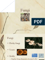 113 Fungi Chapter 31