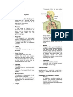 The Respiratory System