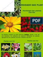 diversidadedasplantas-090301065842-phpapp02