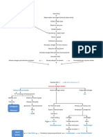 Patofisiologi Bladder Cancer