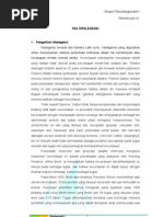 Download rm by Justself Ninkrum SN129072899 doc pdf