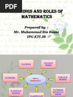 Meanings and Roles of Mathematics