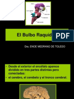 Bulbo Raquideo - Dra. Enoe Medrano