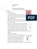 Tumor Jinak Dan Ganas Pada Vulva1