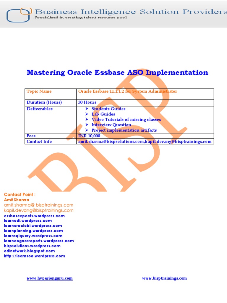 Oracle Essbase ASO Implementation Guide | PDF | Computer Data | Data ...
