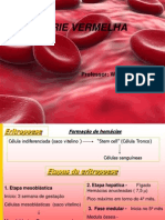 Aula Hematologia - Eritropoese e Hem-Cias 01-04