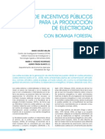 Incentivos_Biomasa Forestal_Producción Electricidad_Galicia