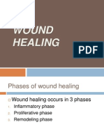Phases and Factors in Wound Healing