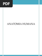 Apostila Anatomia 01
