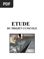 étude lapin