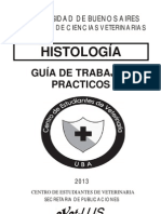Gu�a TP 2013.pdf